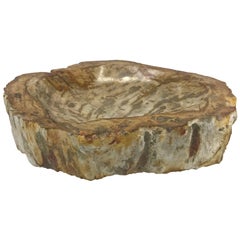 Petrified Wood Catchall Dish with Raw Edging