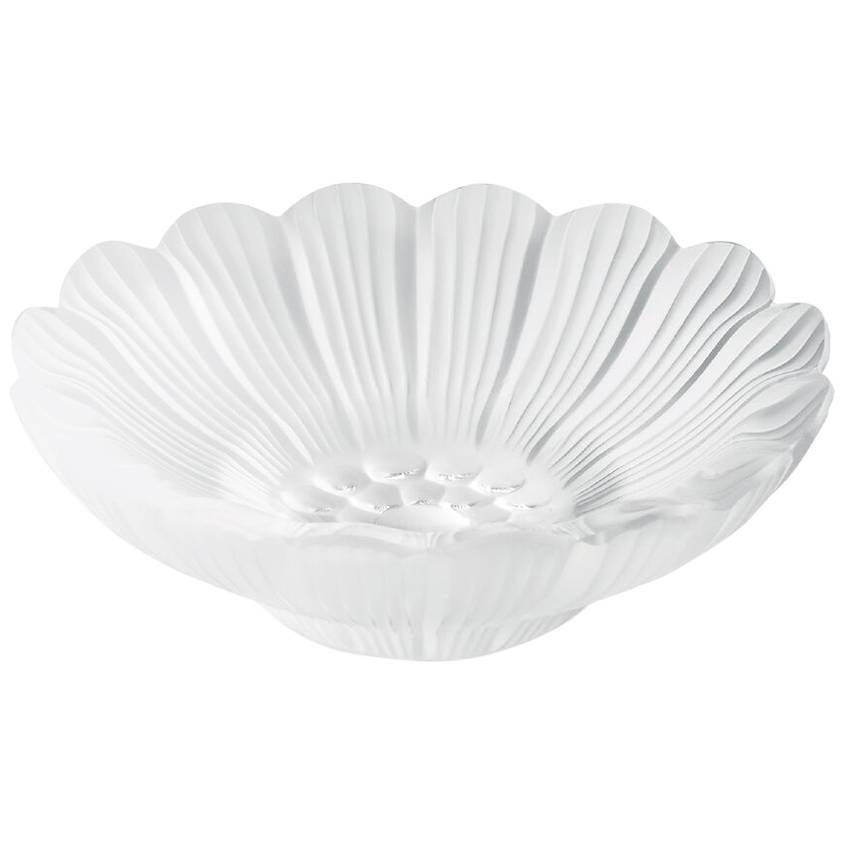 Lalique Pâquerettes Dish in Clear Crystal For Sale