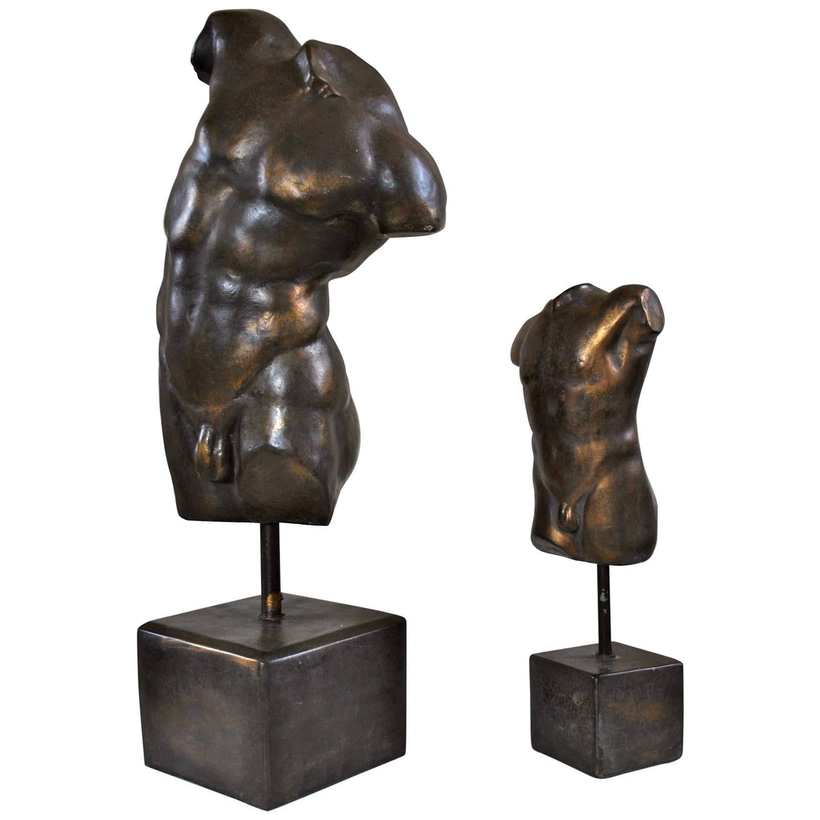 Pair of Classical Bronze Male Torso Sculptures For Sale