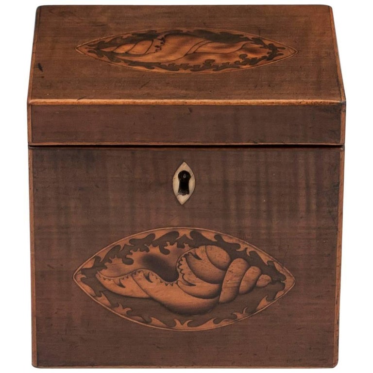 Harewood Antique Single Wooden Tea Caddy with Conch Shells, 18th