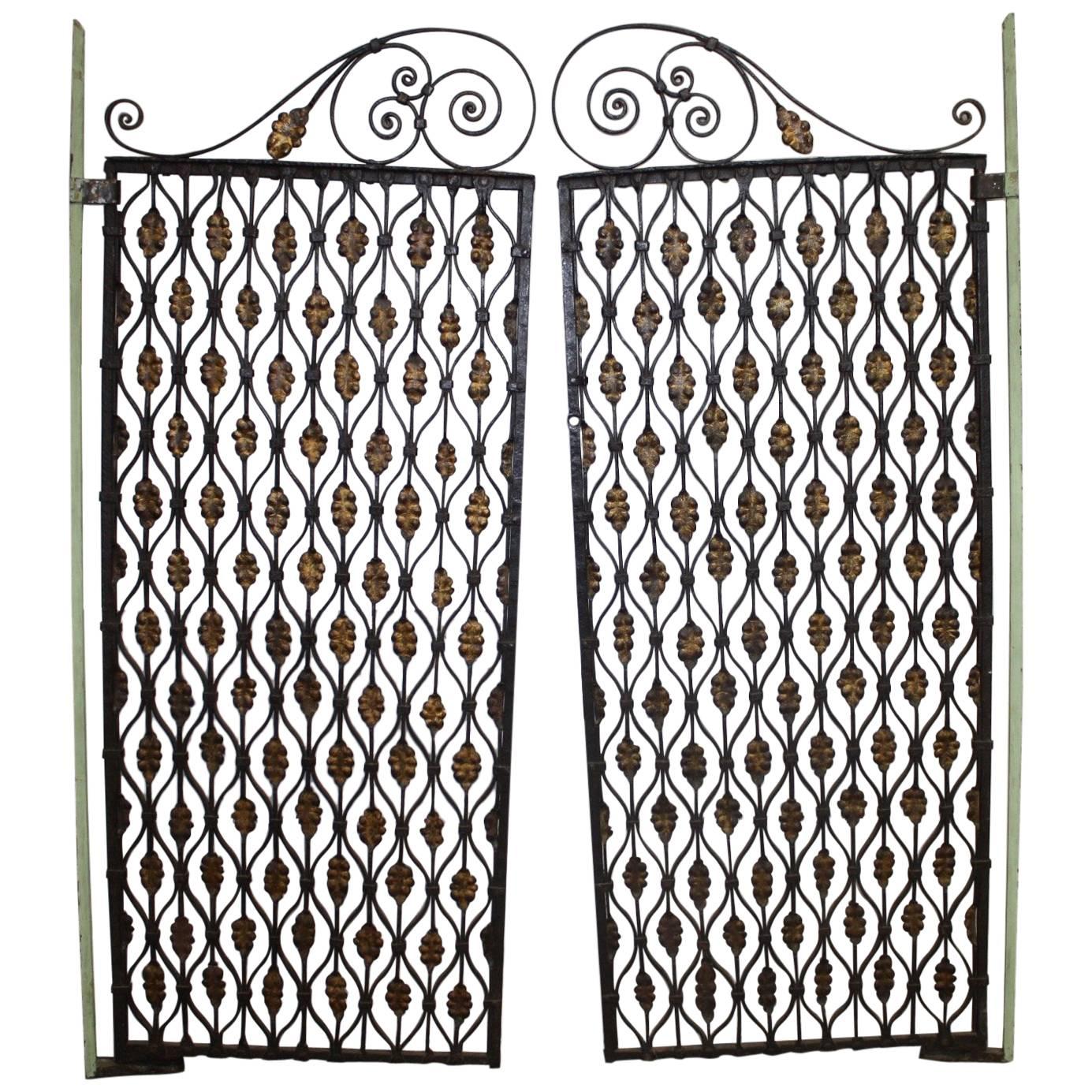 Precioso par de puertas francesas de hierro del siglo XVIII