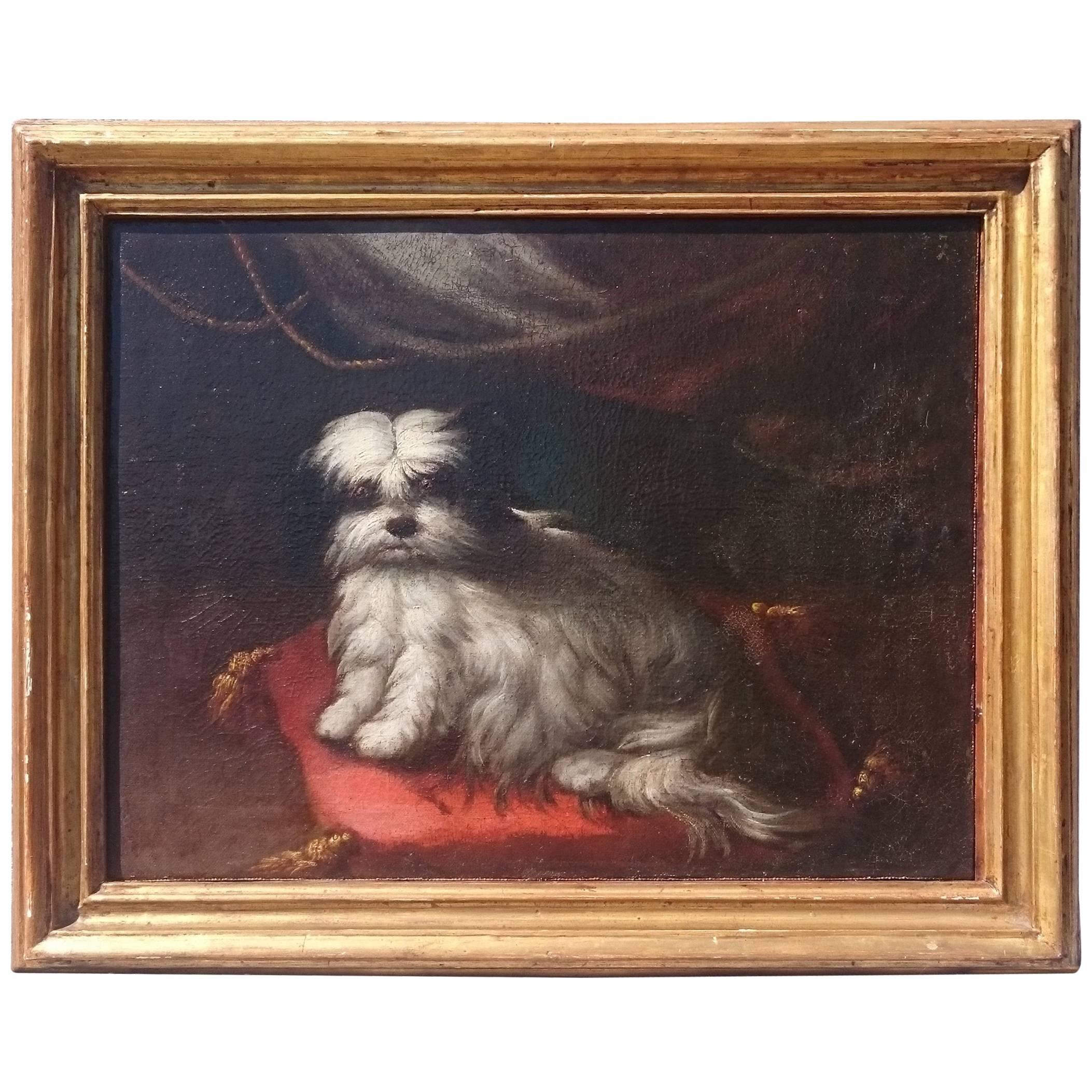18th Century Oil on Canvas Italian School Painting of a Dog on a Red Cushion For Sale