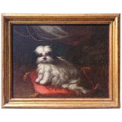 18th Century Oil on Canvas Italian School Painting of a Dog on a Red Cushion