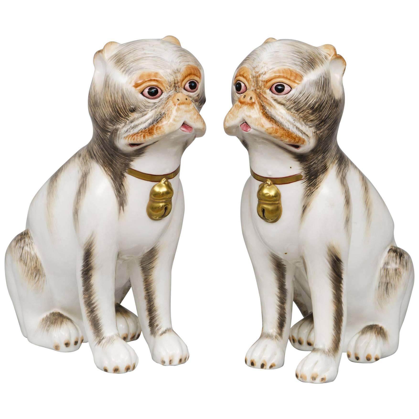 Pair of Continental Porcelain Pug Dogs For Sale