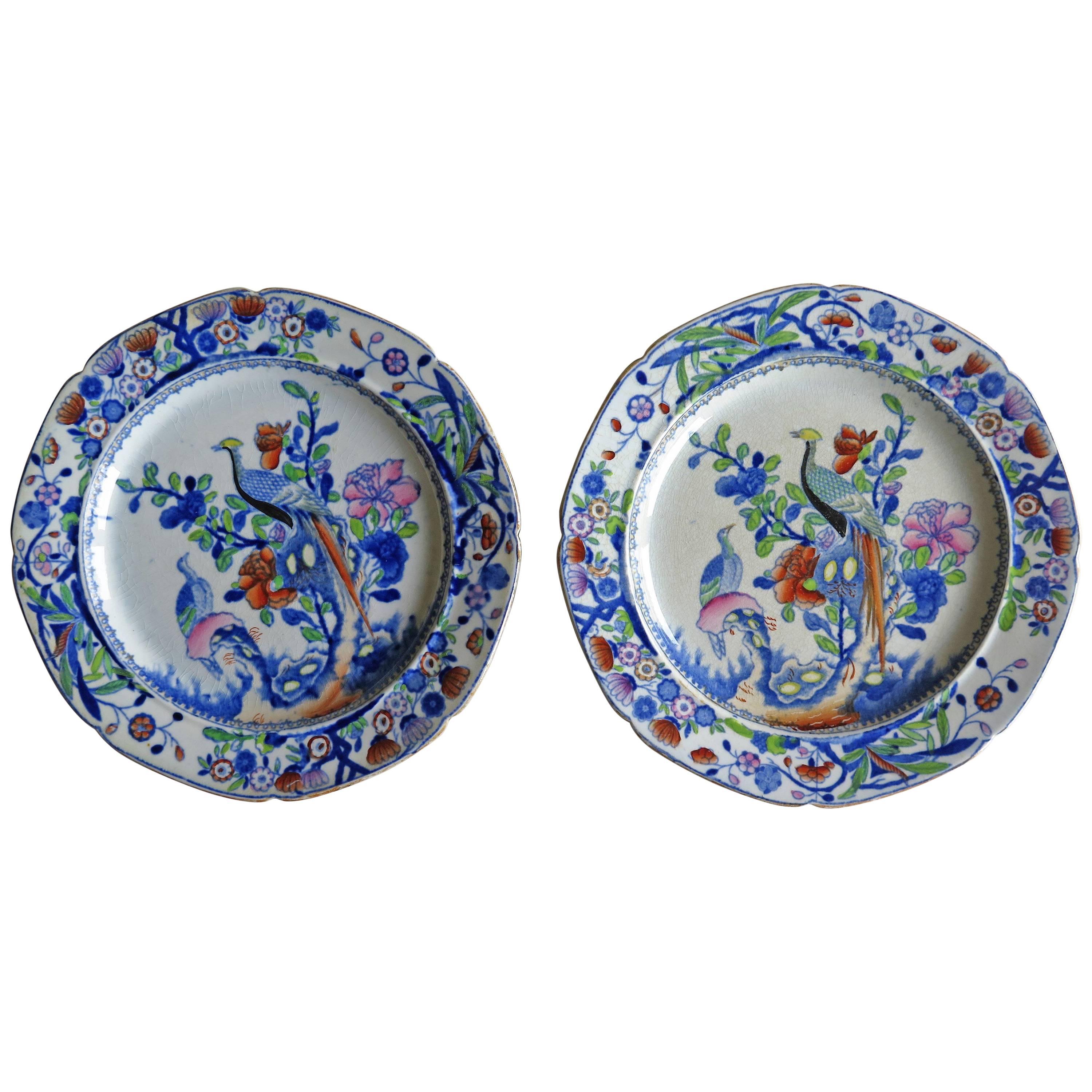 Early PAIR of Mason's Ironstone Side Plates Oriental Pheasant Pattern, Ca 1815