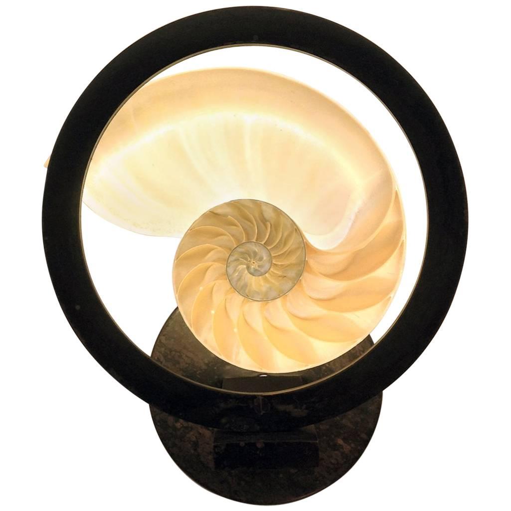 Brass Wall Light "object d'art", "Nauti" Rustic Bronze and Shell, Made in Italy For Sale