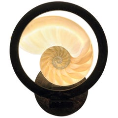 Brass Wall Light "object d'art", "Nauti" Rustic Bronze and Shell, Made in Italy