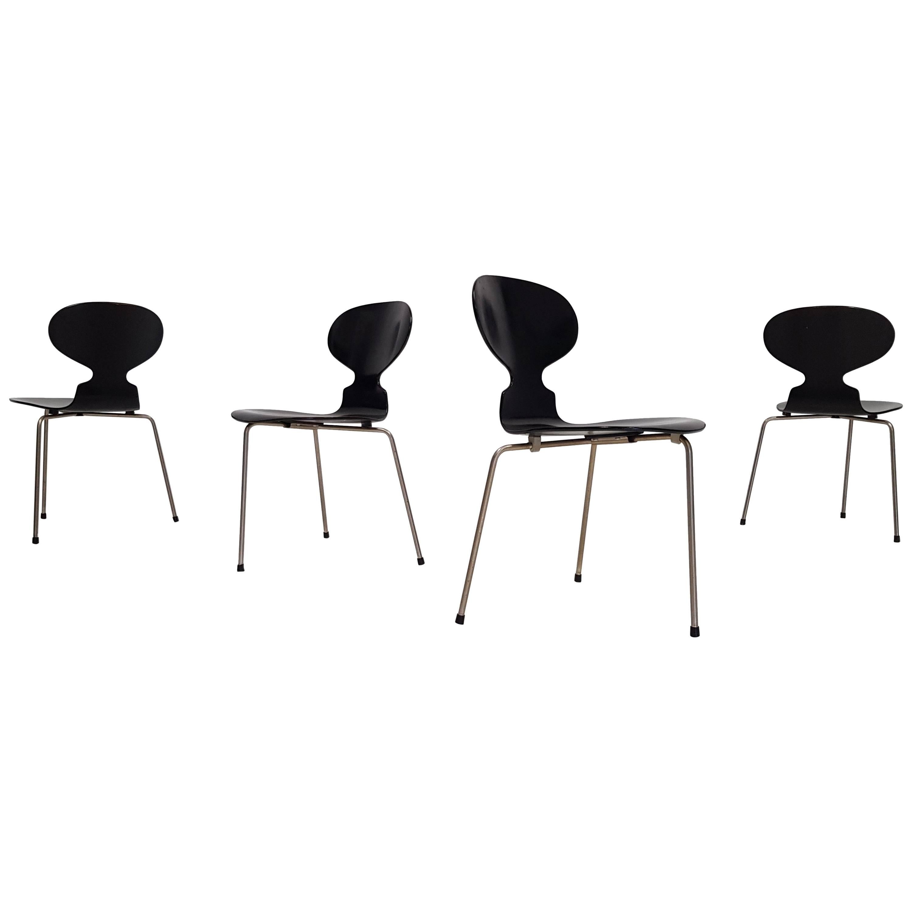 Early Model 3100 'Ant' Chairs by Arne Jacobsen for Fritz Hansen Designed in 1952