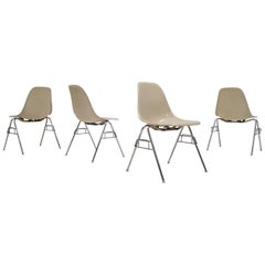 Original Parchment Charles & Ray Eames Fibreglass DSS Chairs for Herman Miller