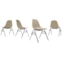 Charles & Ray Eames DSS-Stühle aus Pergament aus Fiberglas für Herman Miller