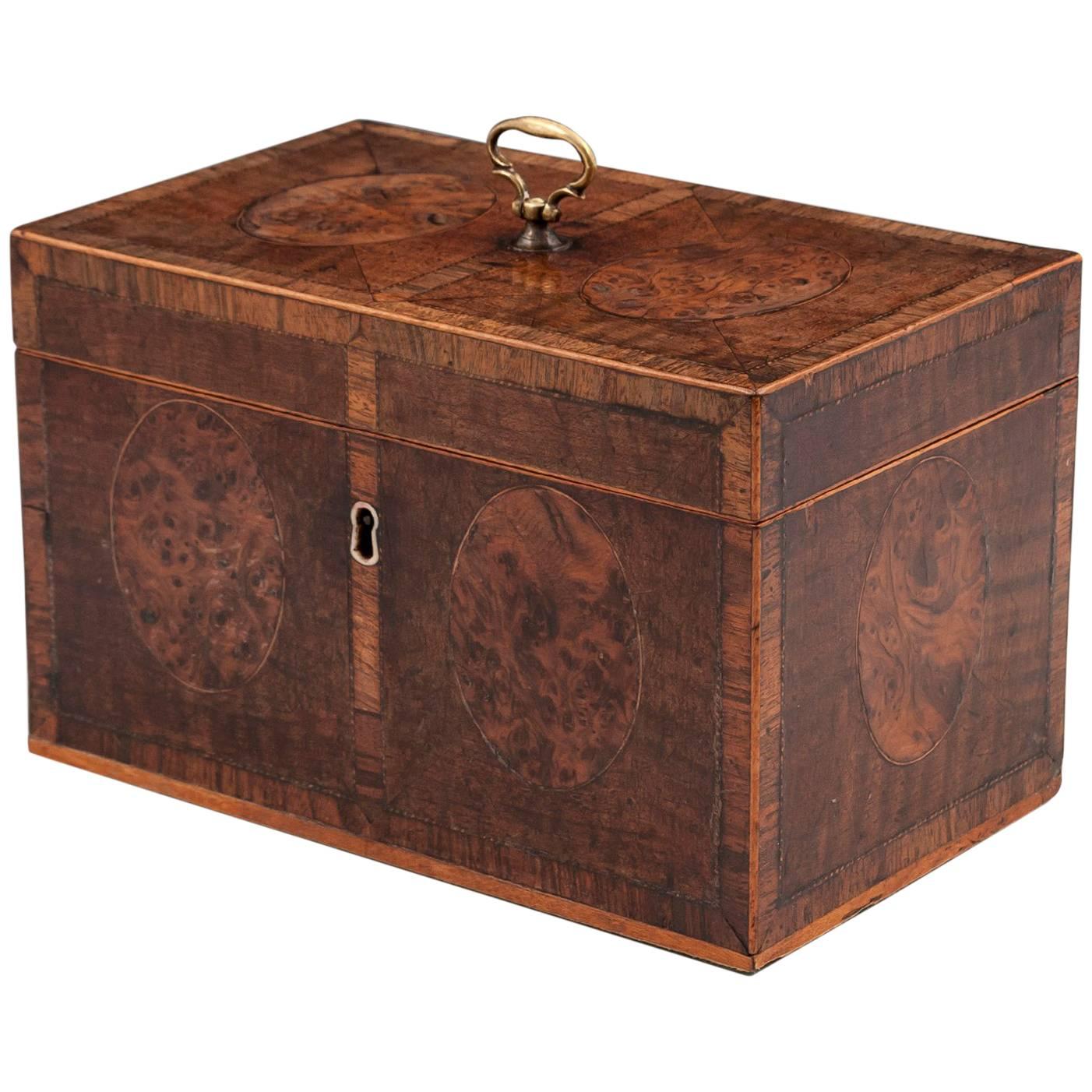 Antique Harewood Tea Chest with Burr Yew Medallions, 18th Century at