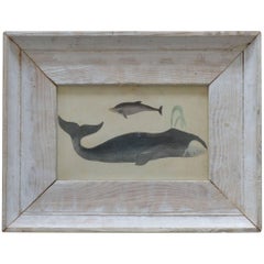 Original Antique Print of Whales, 1847