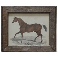 Original Antique Print of a Chestnut Horse, 1847