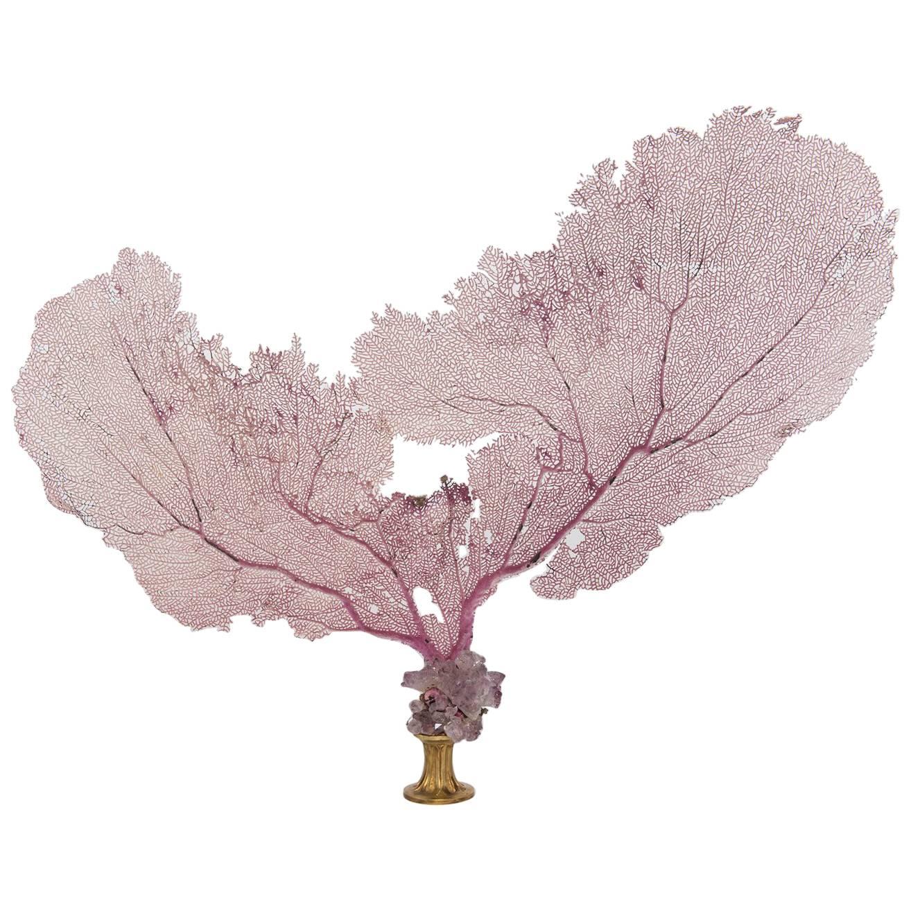 Pink Sea Fan Coral and Amethyst Quartz on 19th Century Gilt Bronze Fragment