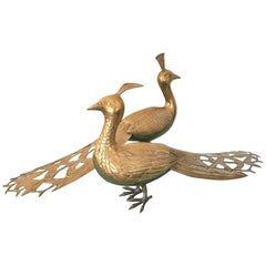 Solid Brass Male and Female Peacock Statues