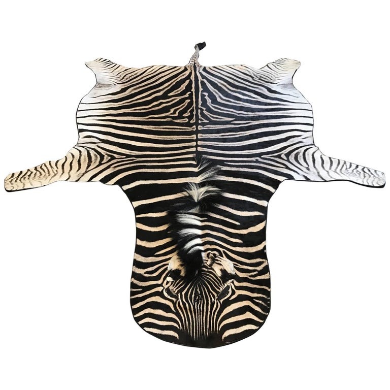 Grade A Equus Burchell Zebra Skin Rug For Sale at 1stDibs