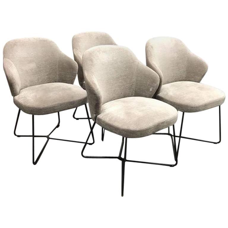 Minotti Set of Four Leslie Dining Chairs For Sale