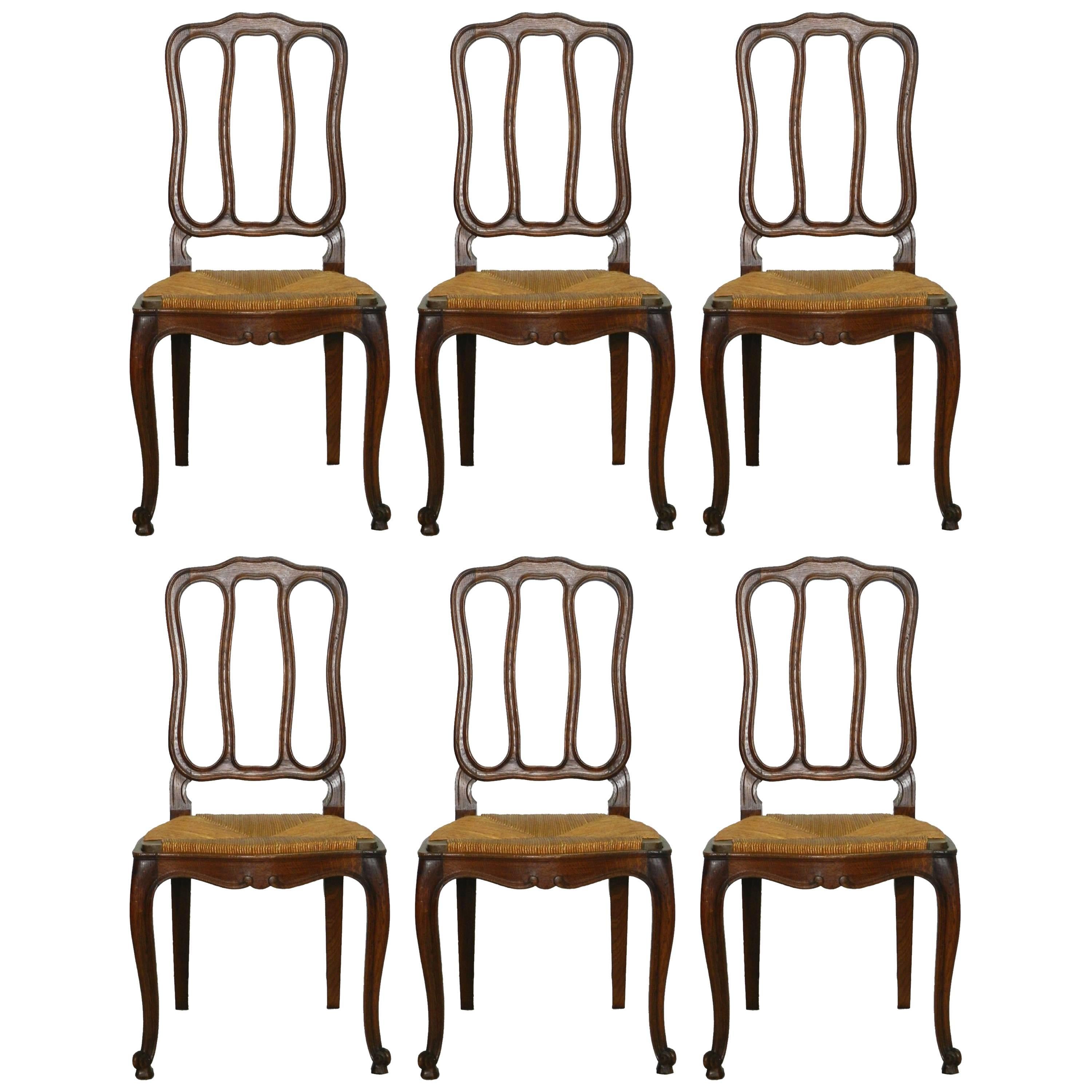 Six French Dining Chairs Oak Chairs Rush Seats, Early 20th Century For Sale