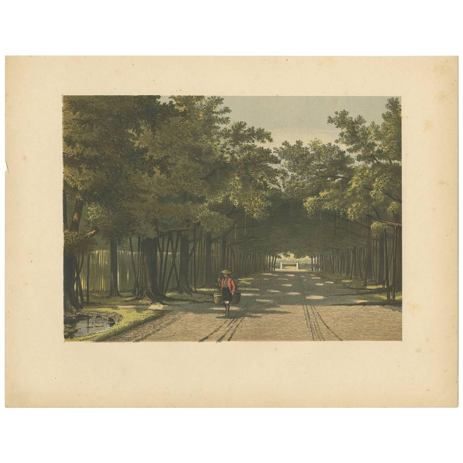 Antique Print of the Royal Arboretum in Batavia by M.T.H. Perelaer, 1888 For Sale