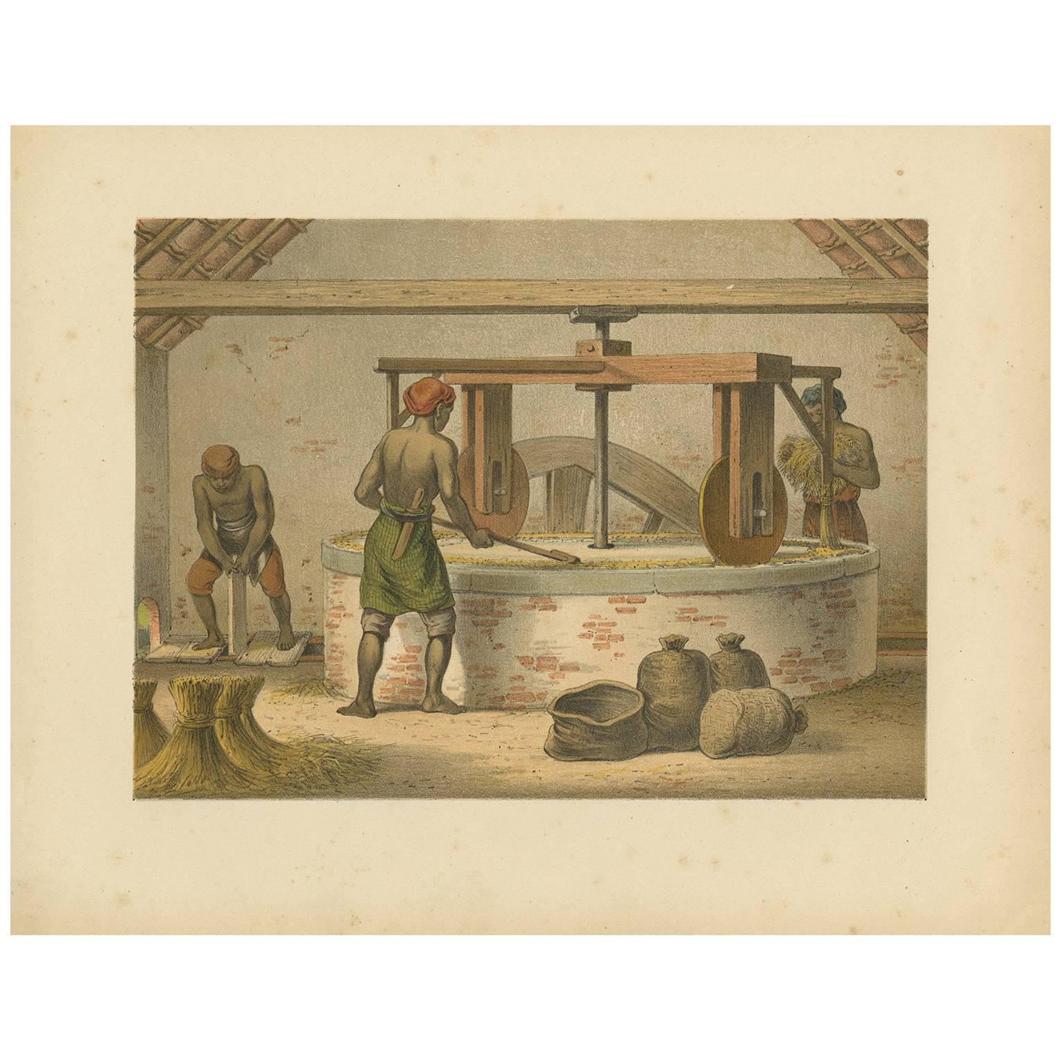 Grabado antiguo de un molino para pelar arroz de M.T.H. Perelaer, 1888