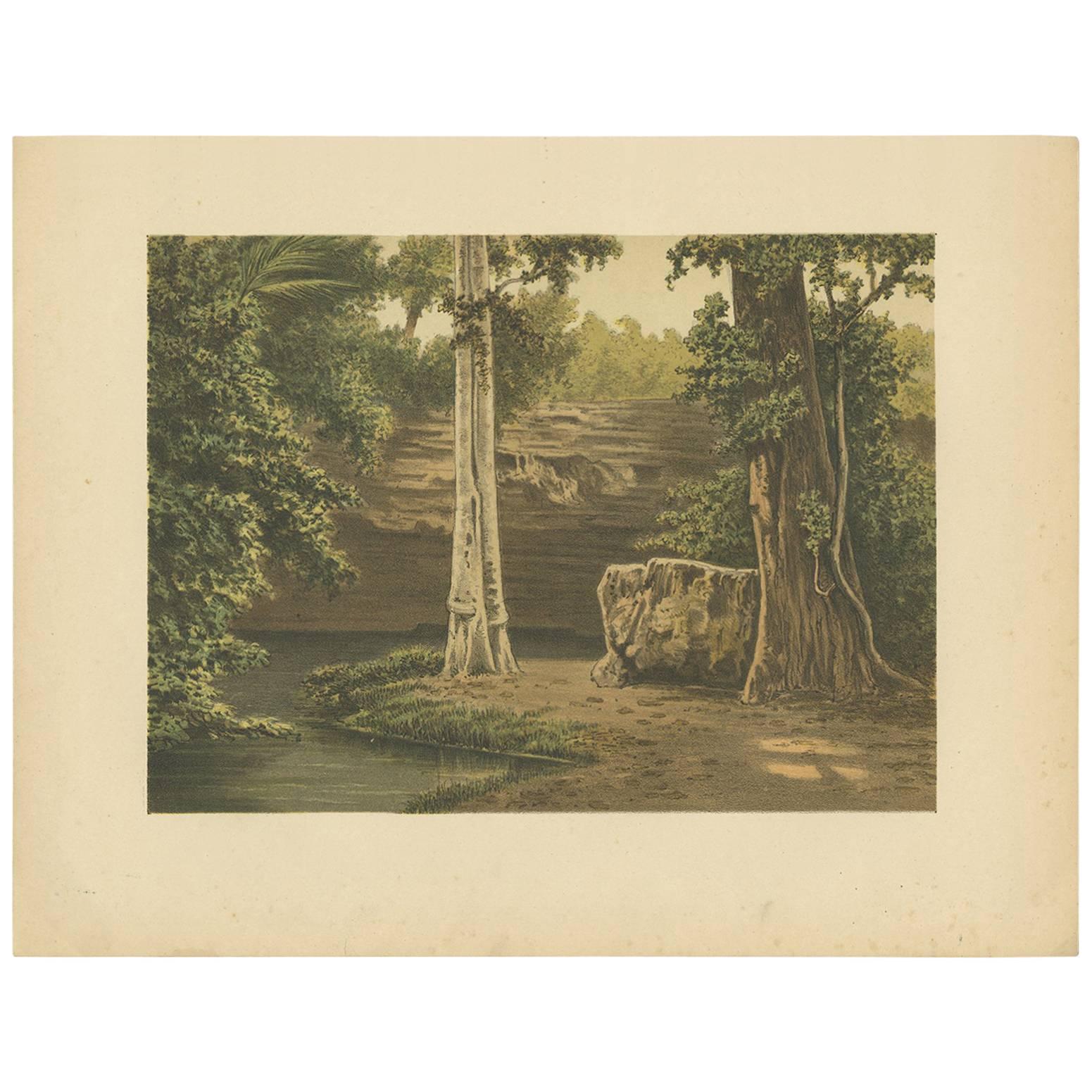 Antique Print of the Djati Forest by M.T.H. Perelaer, 1888 For Sale