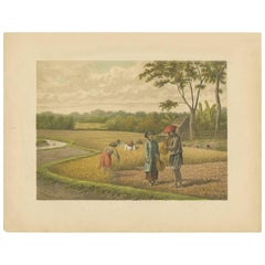 Antique Print of a Rice Field on Java by M.T.H. Perelaer, 1888