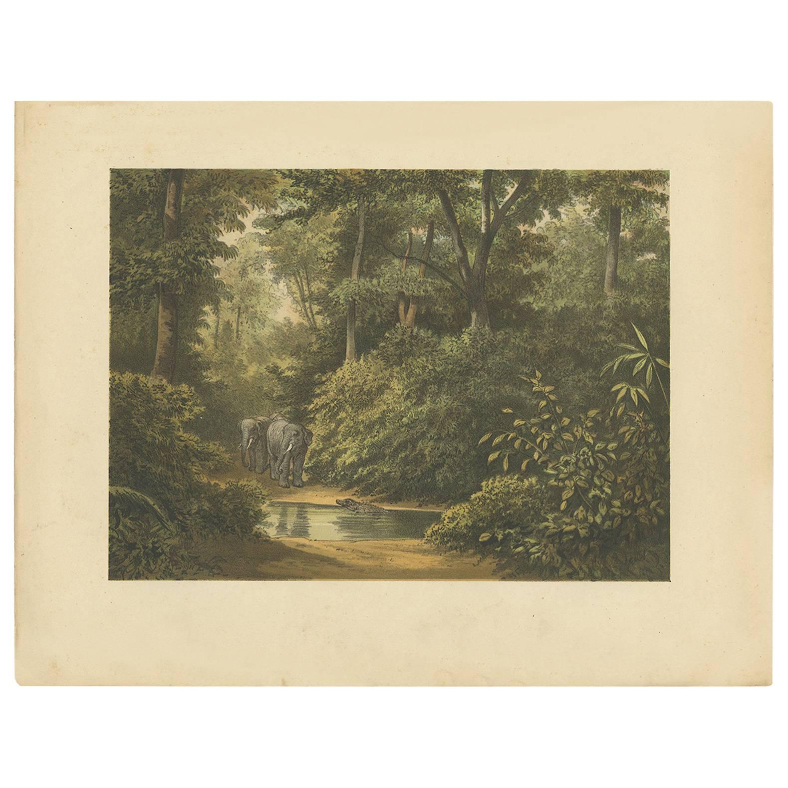 Antique Print of a Forest and Elephants in Indonesia by M.T.H. Perelaer, 1888 For Sale