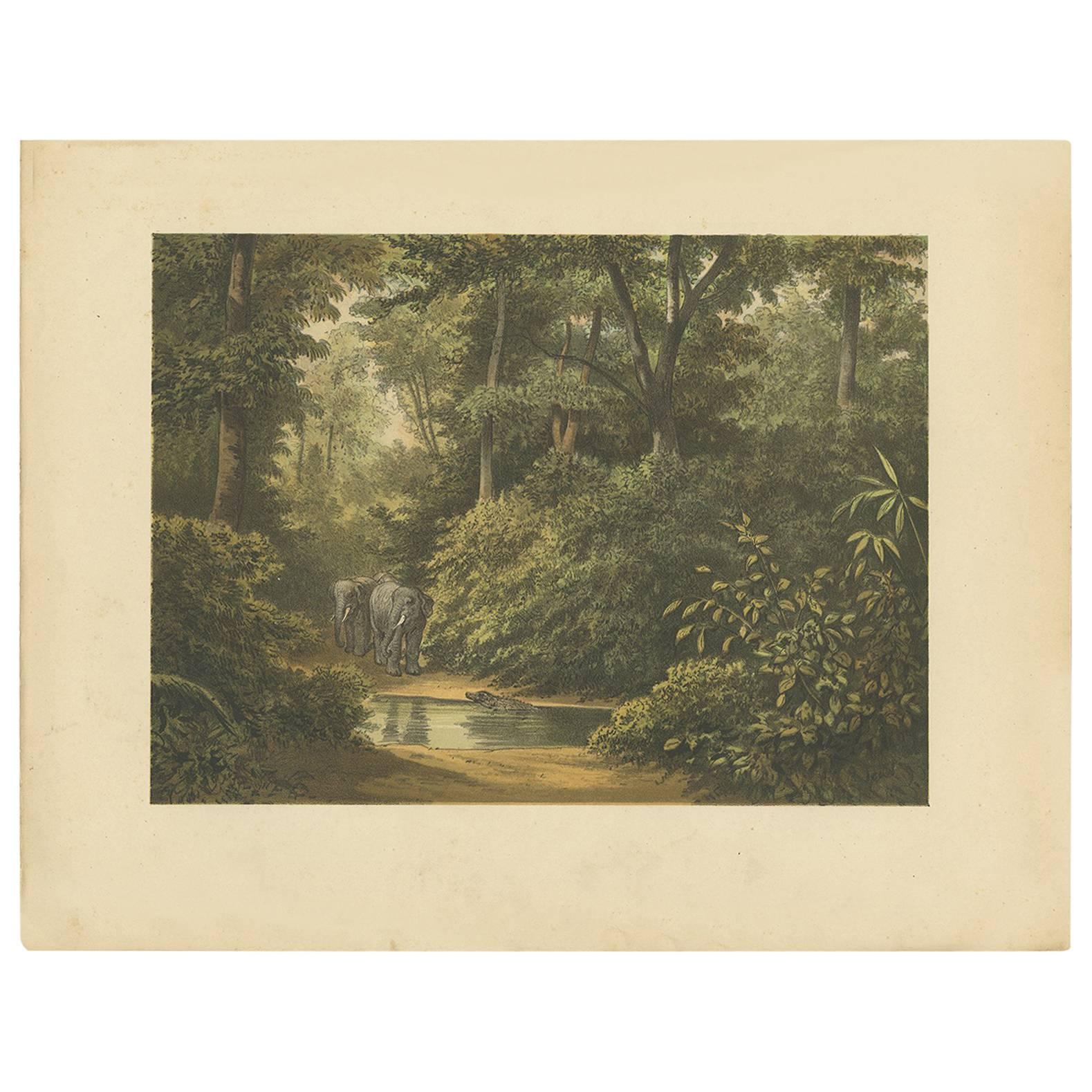 Impression ancienne d'une forêt et d'éléphants en Indonésie par M.T.H. Perelaer, 1888