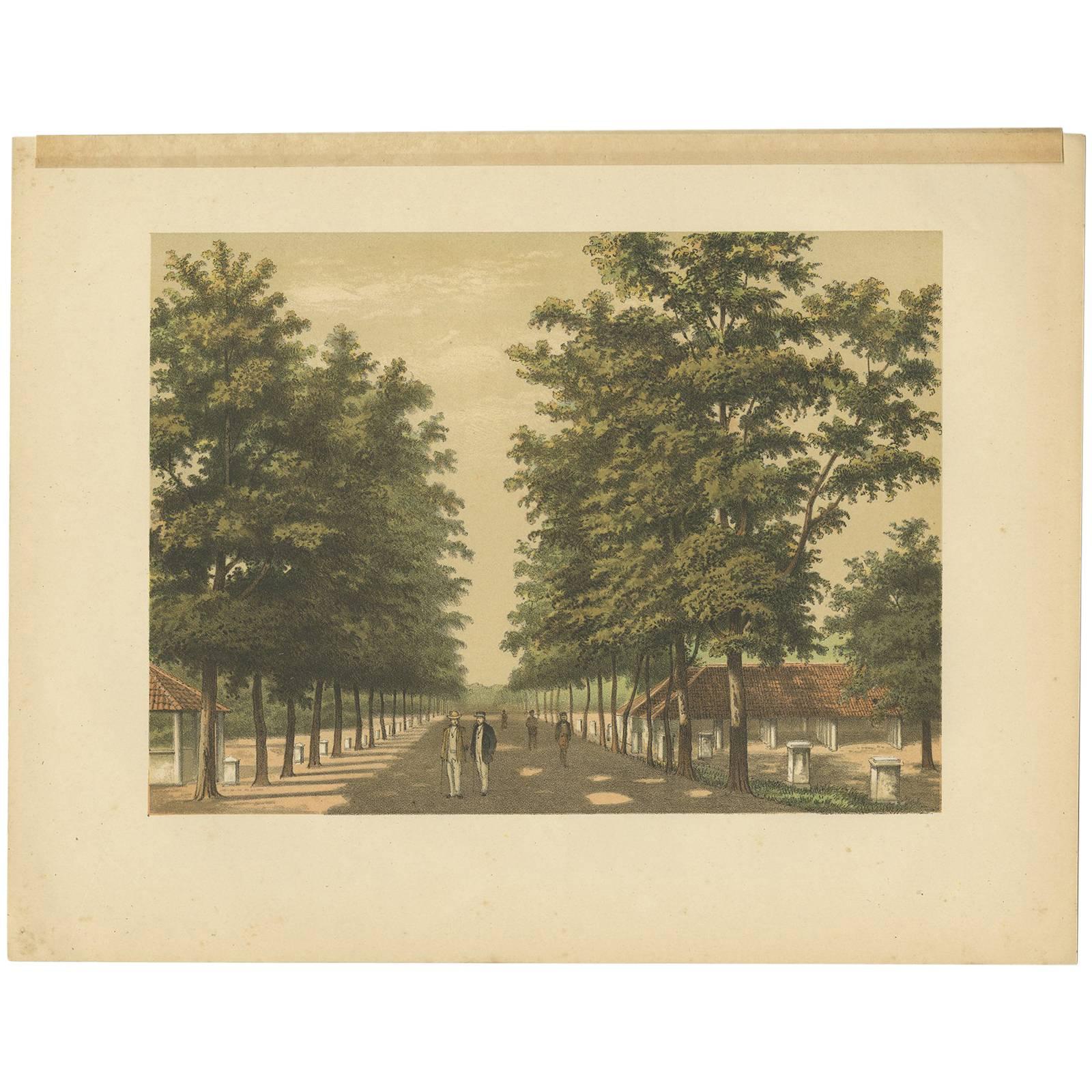 Antique Print of Avenue Paja Koembah 'Sumatra' by M.T.H. Perelaer, 1888