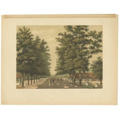 Antiker Druck der Avenue Paja Koembah „Sumatra“ von M.T.H. Perelaer, 1888