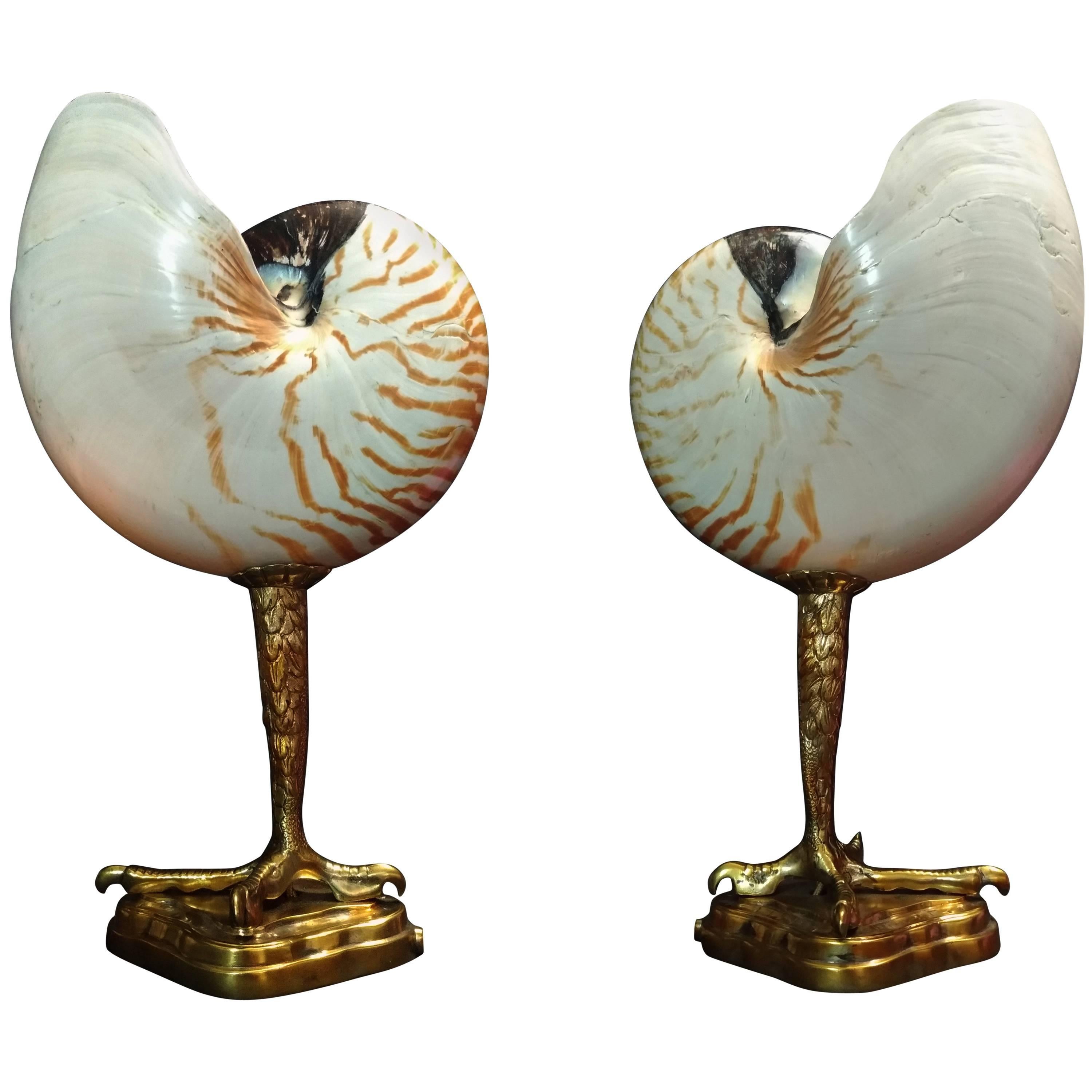 Original Pair of Table Lamps Sea Claw by Pascucci, Italy, 1950