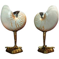 Original Pair of Table Lamps Sea Claw by Pascucci, Italy, 1950