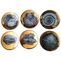 Piero Fornasetti Porcelain Gilt Seashell Plates, Conchyliorum Pattern, 1950s