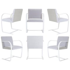 Brno Flat-Bar Chairs in Dove Velvet, Lunar Gloss Frame, Set of Six