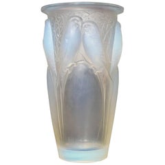 Glass Vases and Vessels