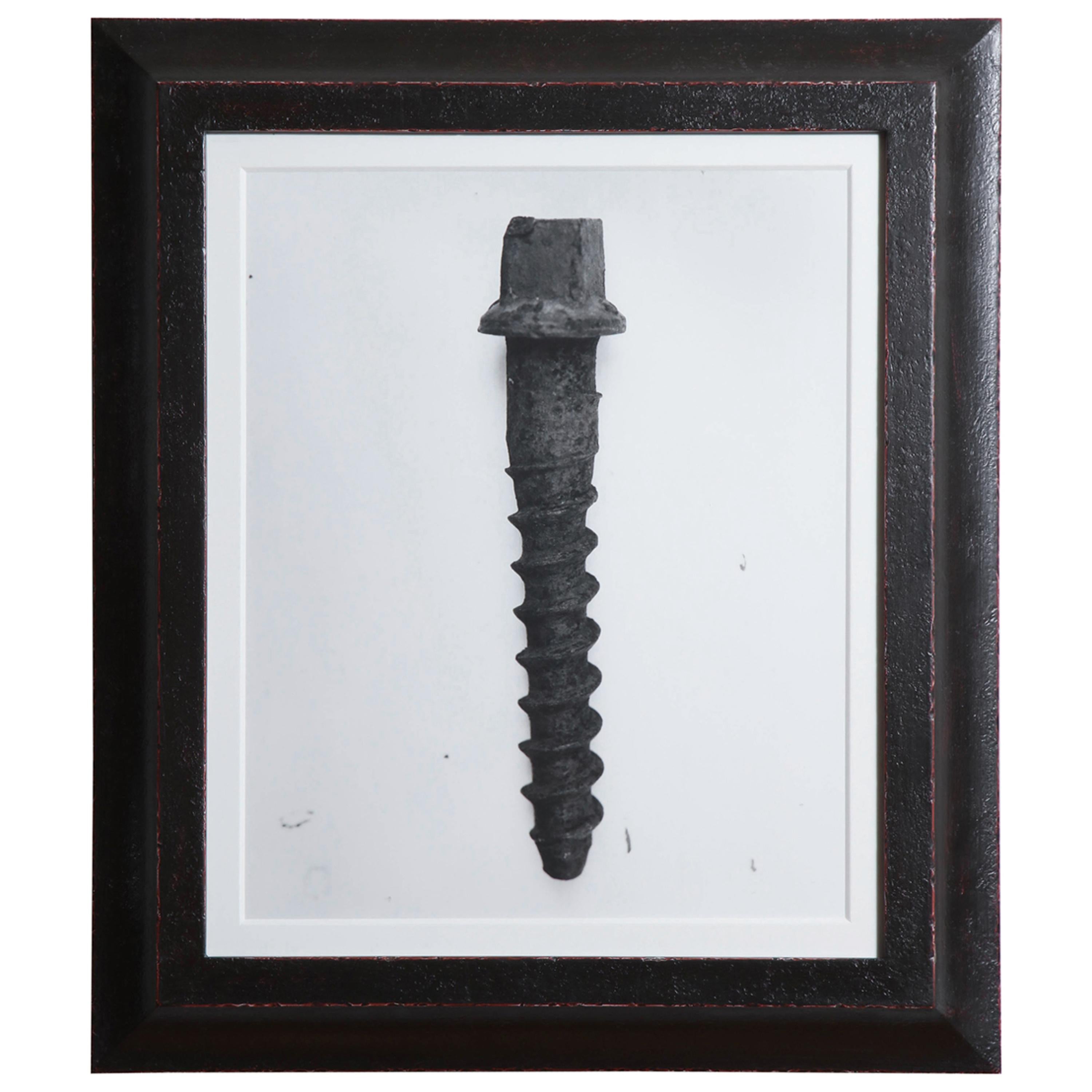 Railroad Screw, Laura Resen For Sale