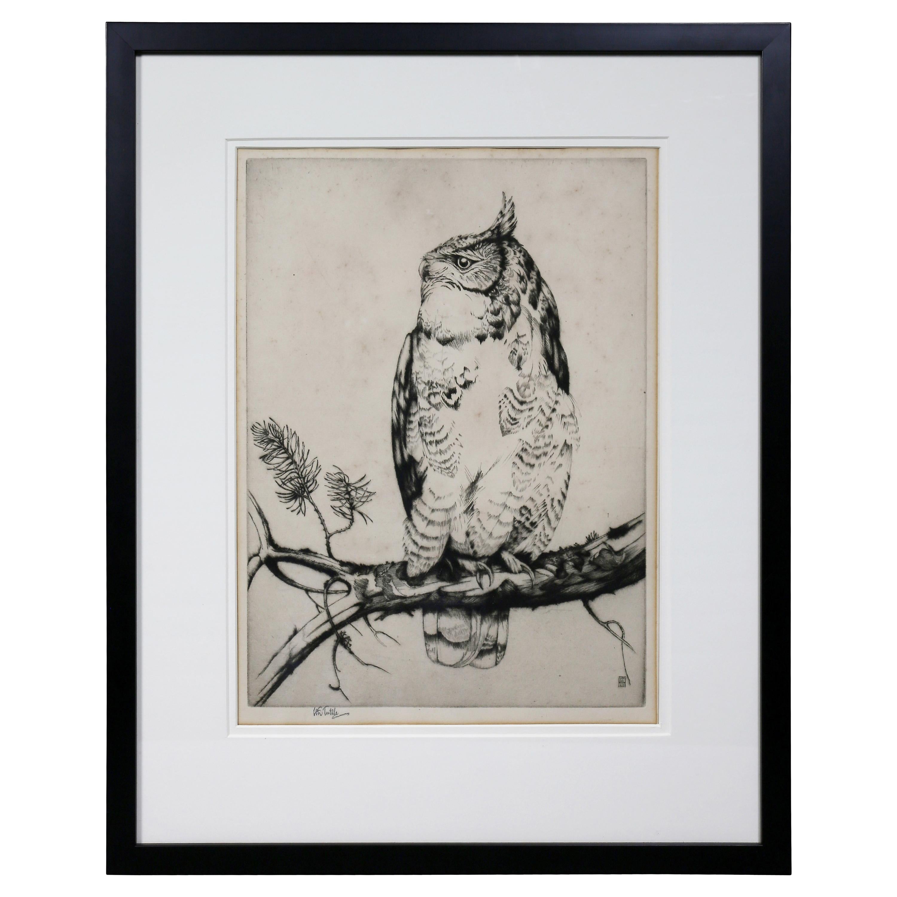 Framed Etching of an Owl by Henry Emerson Tuttle