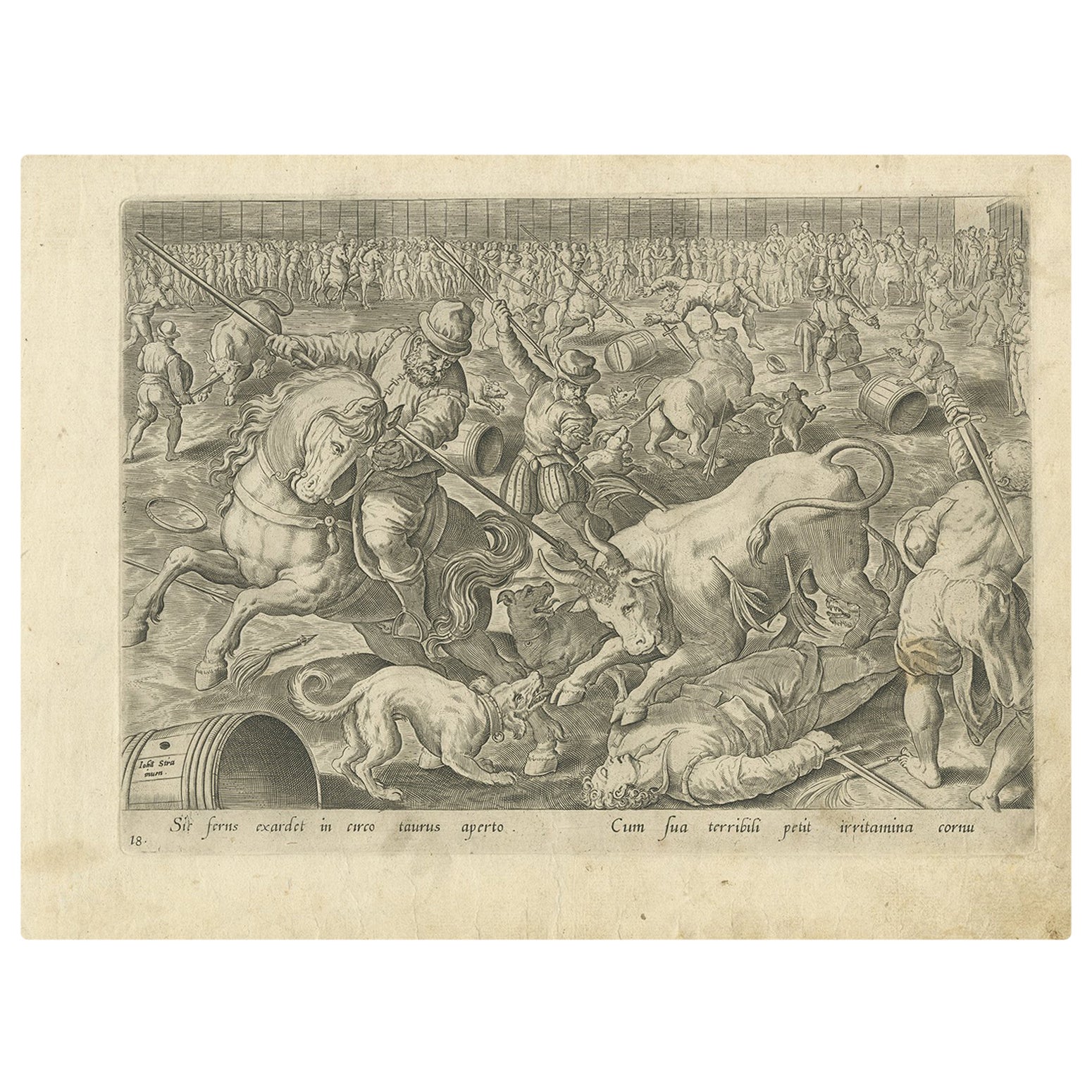Antique print titled 'Sit ferns exardet in circo tarus aperto, Cum sua terribili petit irritamina cornu'. No. 18 by A. Stradanus depicting a bull fight in Spain. Published in 1576.