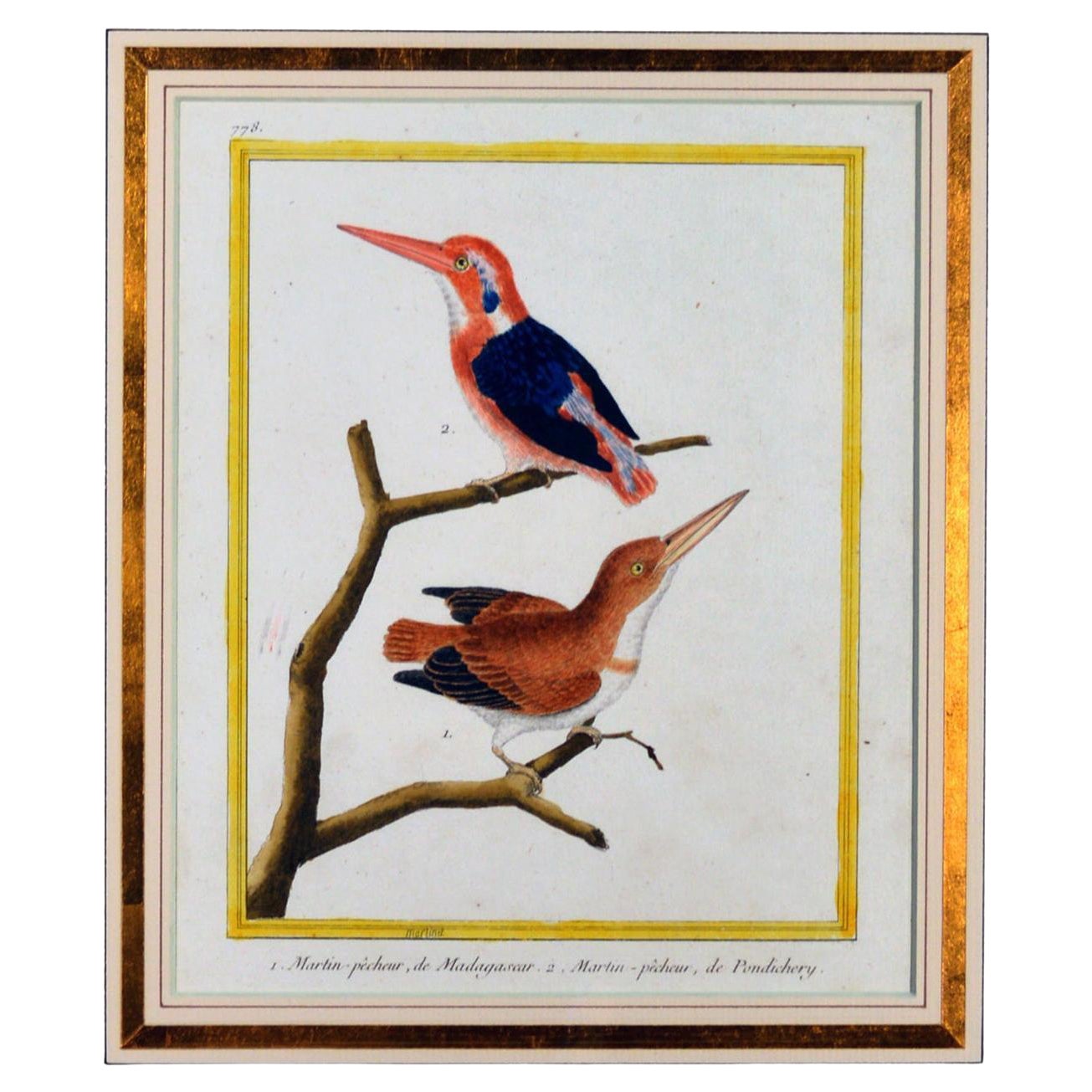 Französischer Francois Nicholas Martinet-Vogelgravur, um 1770
