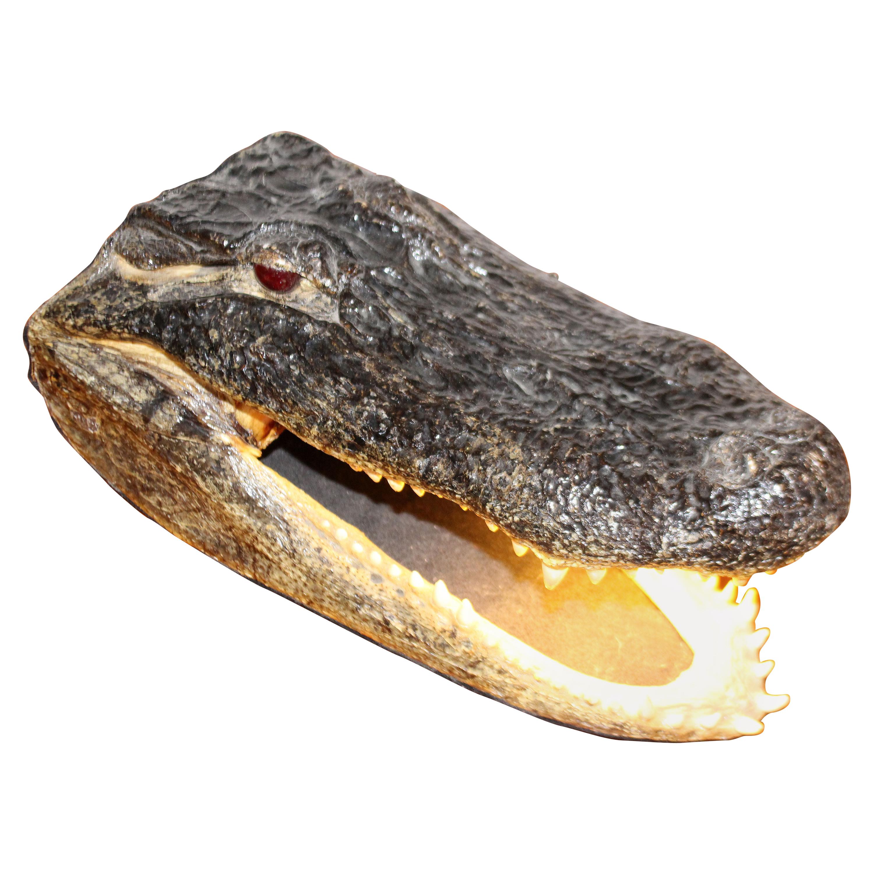 Alligator lamp deals