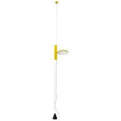 FLOS OK Pendant Light in Yellow by Konstantin Grcic