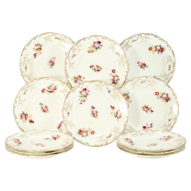 Set 12 Cauldon Dessert Plates Hand Painted Polychrome Enamel Flowers