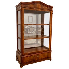 19th Century Biedermeier / Louis Philippe Display Cabinet or Vitrine