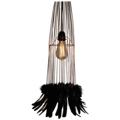 Black Feathers and Metal Pendant, France