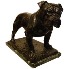 Huge English Bulldog Bronze Sculpture, Fritz Diller, Germany, 1910