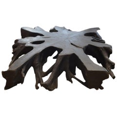Andrianna Shamaris Decorative Objects