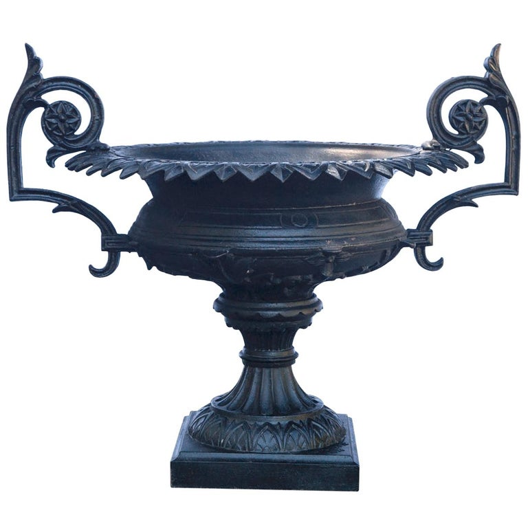 Tabletop Cast Iron Urn with Ruffled Rim and Ringed Lion Handles For