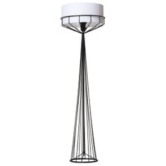 Tony Paul Wires Collection Floor Lamp for the Elton Co, 1950s, USA