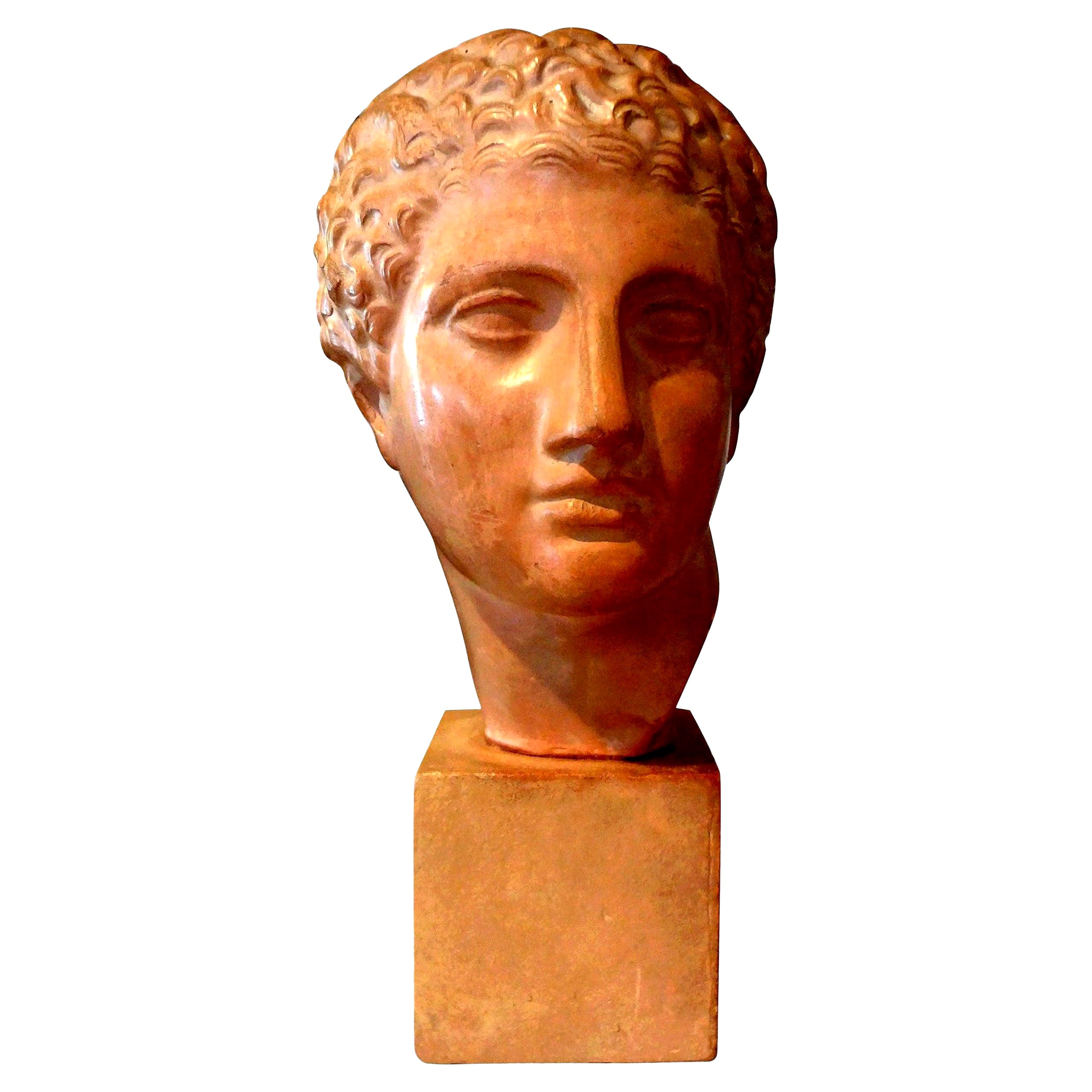 French Terracotta Bust Sculpture of a Classical Roman Male