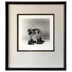 Silver Photography